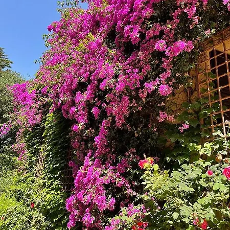 Codol De Fluvia - Casita Torroella de Fluviá